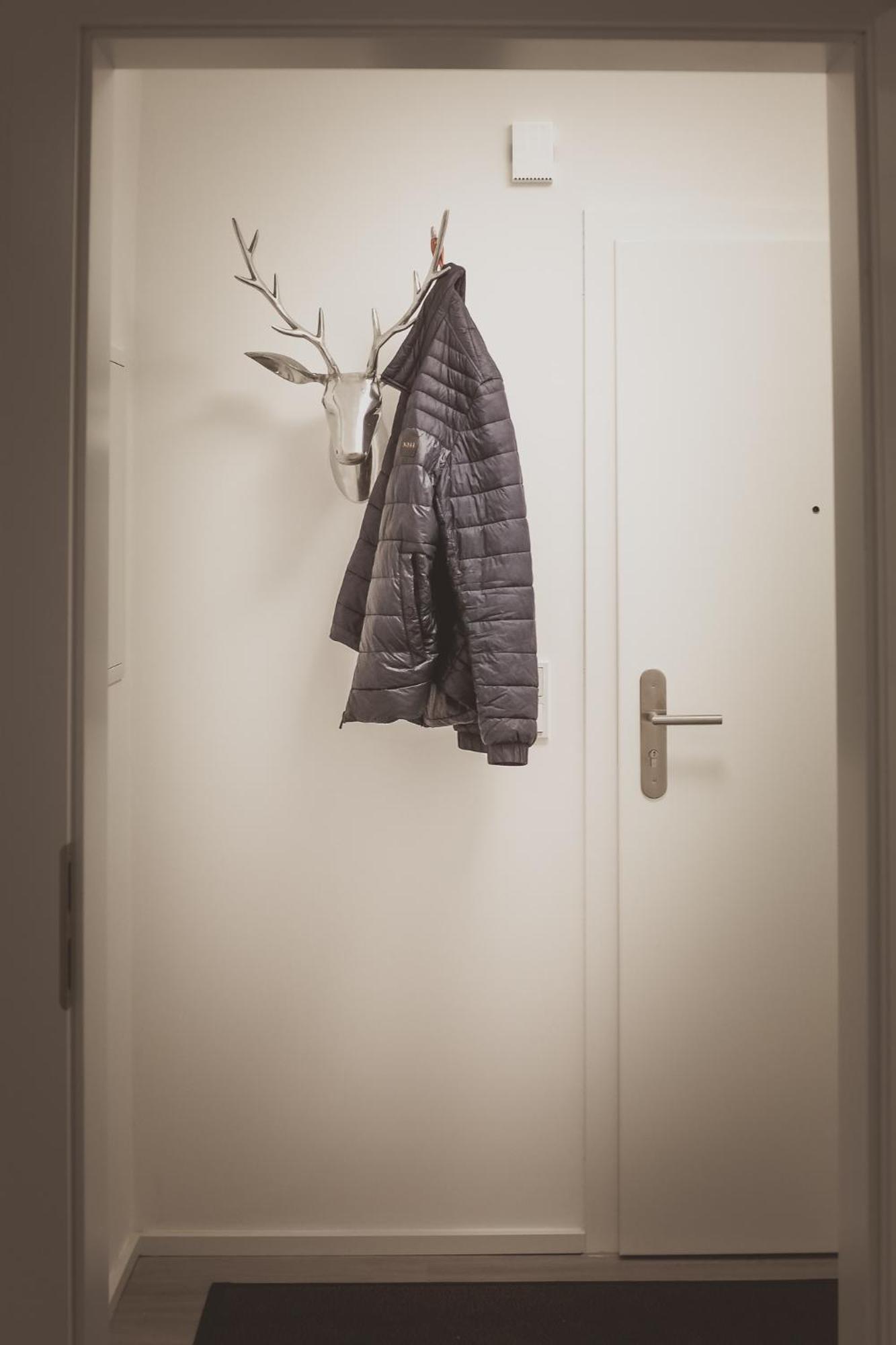 Rheinnest , Neue Und Gemuetliche Wohnung 多尔马根 外观 照片